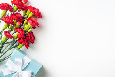 High angle view of red roses against white background