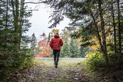 Rear view of man walking on footpath in forest