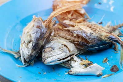 Close-up of dead fish in plate