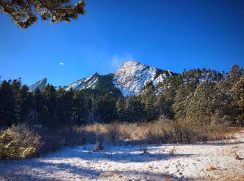 Scenic view of snowcapped field against clear blue sky