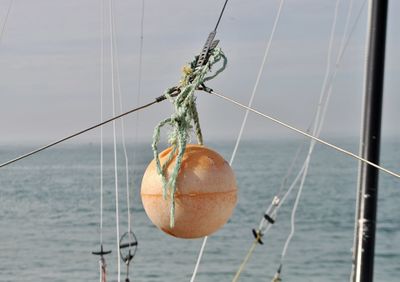 Close-up of fishing net on rope against sky