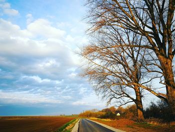 Empty road along bare trees against sky