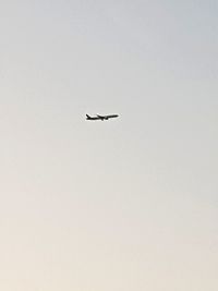 Low angle view of airplane flying in sky