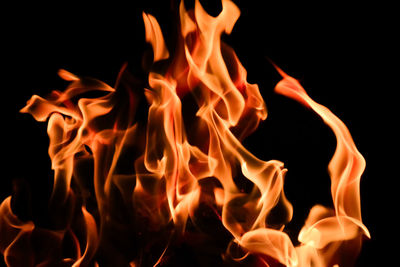 Close-up shot of the fire on black background