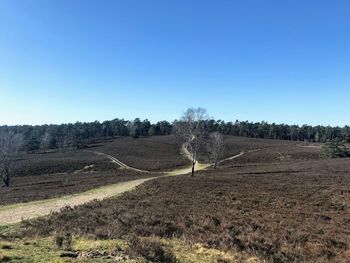 Scenic view of agricultural field against clear blue sky