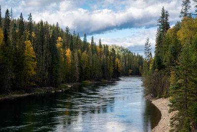 Scenic view of river amidst trees against sky