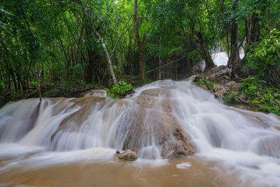 Scenic view of waterfall in forest