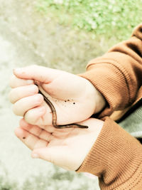 Worm in human hand