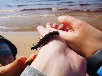 Close-up of hand on beach