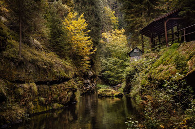 Scenic view of lake amidst trees and house in forest