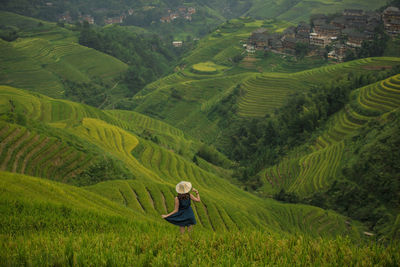 Rear view of man on agricultural field