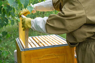 Midsection of man working at farm
