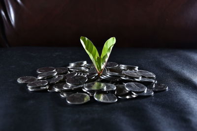 Close-up of coins on table