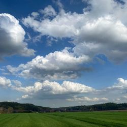 Scenic view of field against sky