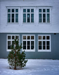 Christmas tree in front of an old school on godøy in winter, sunnmøre, møre og romsdal, norway.
