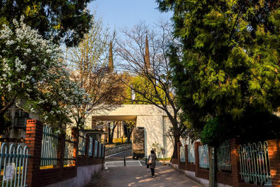 Footpath amidst trees and buildings against sky