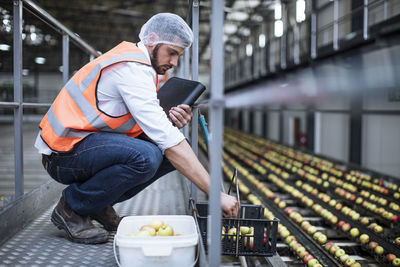 Man sorting out apples in food processing plant