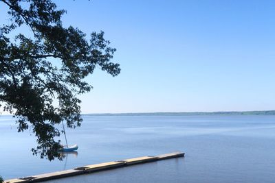 Tree against pier over river