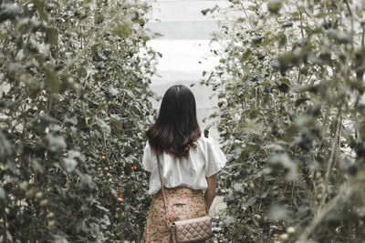 Rear view of woman standing on plants