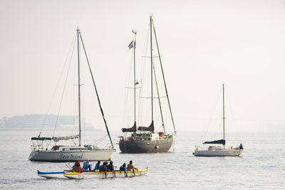 Sailboats sailing in sea against clear sky