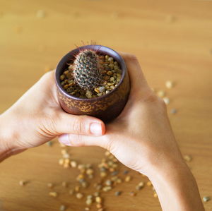 Close-up of hand holding ice cream