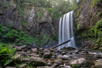 Scenic view of waterfall in forest