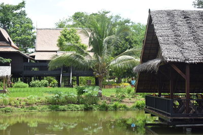 Plants and trees by lake against buildings