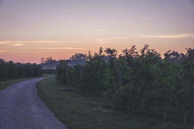 Road amidst trees against sky during sunset