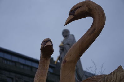 Close-up of bird