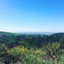 Scenic view of landscape against clear blue sky