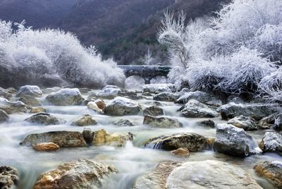 Scenic view of waterfall