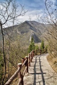 Footpath amidst trees and mountains against sky