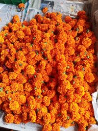High angle view of orange flowering plants in market