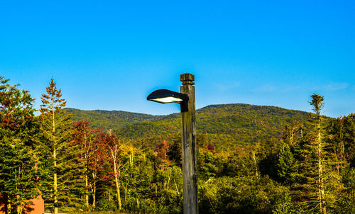 Scenic view of trees and plants against blue sky