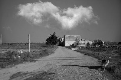 Road amidst field against sky