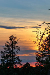 Low angle view of silhouette tree against sky during sunset