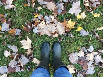 Low section of person standing on grassy field