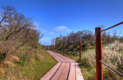 Wooden fence on grassy field