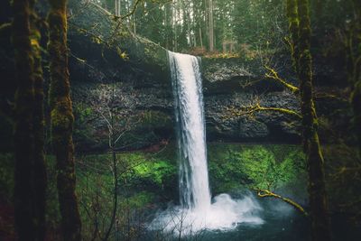 Waterfall in forest