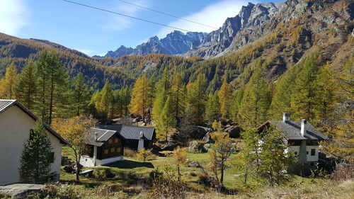 Scenic view of trees and houses against sky