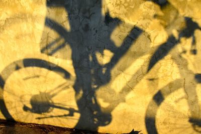 Shadow of person with bicycle on street