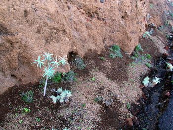 High angle view of rocks on field