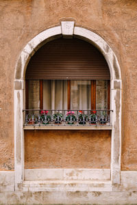 Potted plants on window sill of building