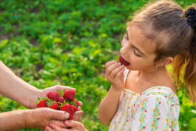 Hands of woman in front of girl eating strawberry