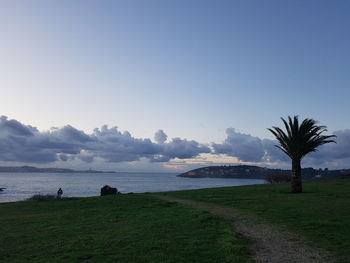 Scenic view of field by sea against clear sky
