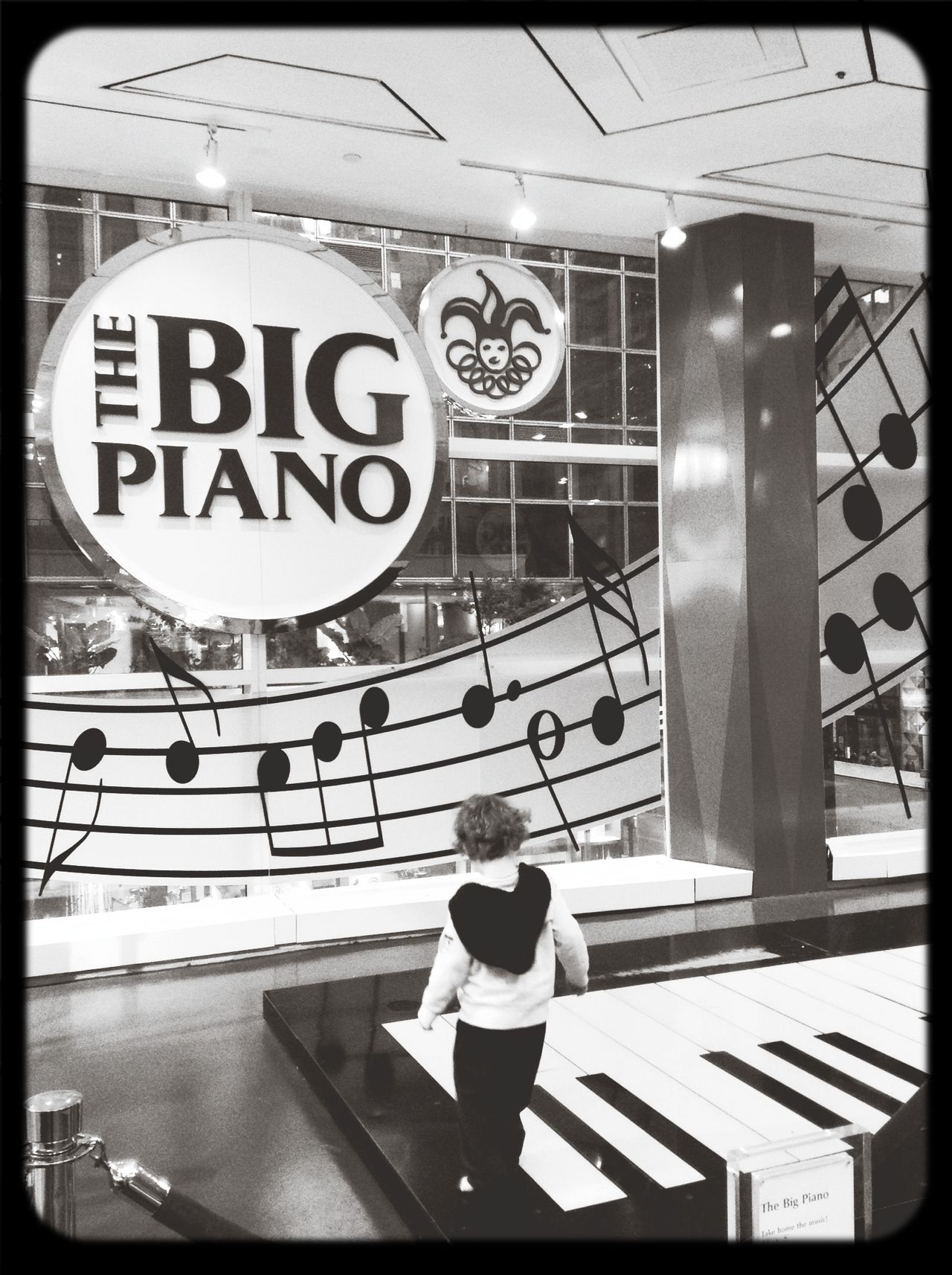 FAO Schwarz NYC