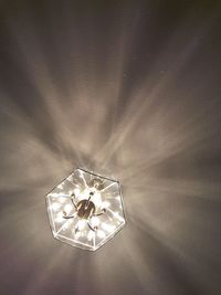 Low angle view of hanging lights