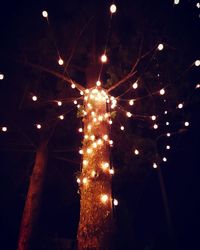 Low angle view of illuminated christmas tree at night