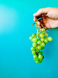 Close-up of hand holding fruit against white background