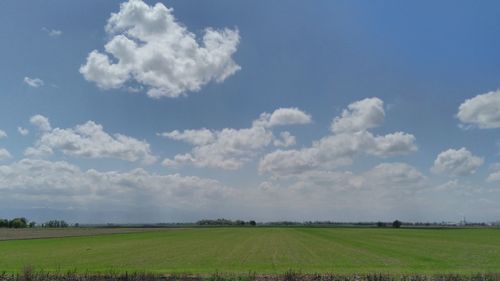 Scenic view of agricultural field against sky